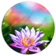 Purple Lotus On Abstract Background, Flower Round Wall Art, 36"