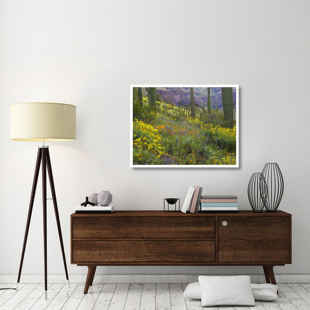 "Saguaro amid flowering Lupine, Organ Pipe Cactus Monument" Paper Art, 42"x32"