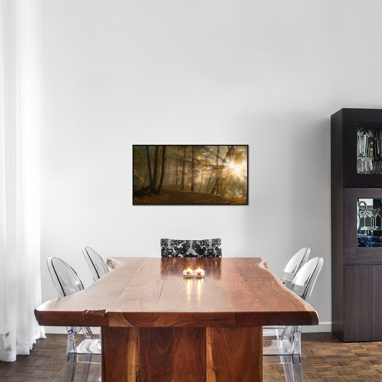 "Forest Light" Framed Canvas Giclee by Norbert Maier, 37x19"