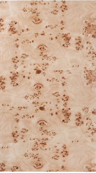 Otto Ash Burl Veneer Coffee Table, Natural