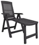 vidaXL Sun Lounger Patio Furniture Outdoor Lounge Chair Anthracite Plastic