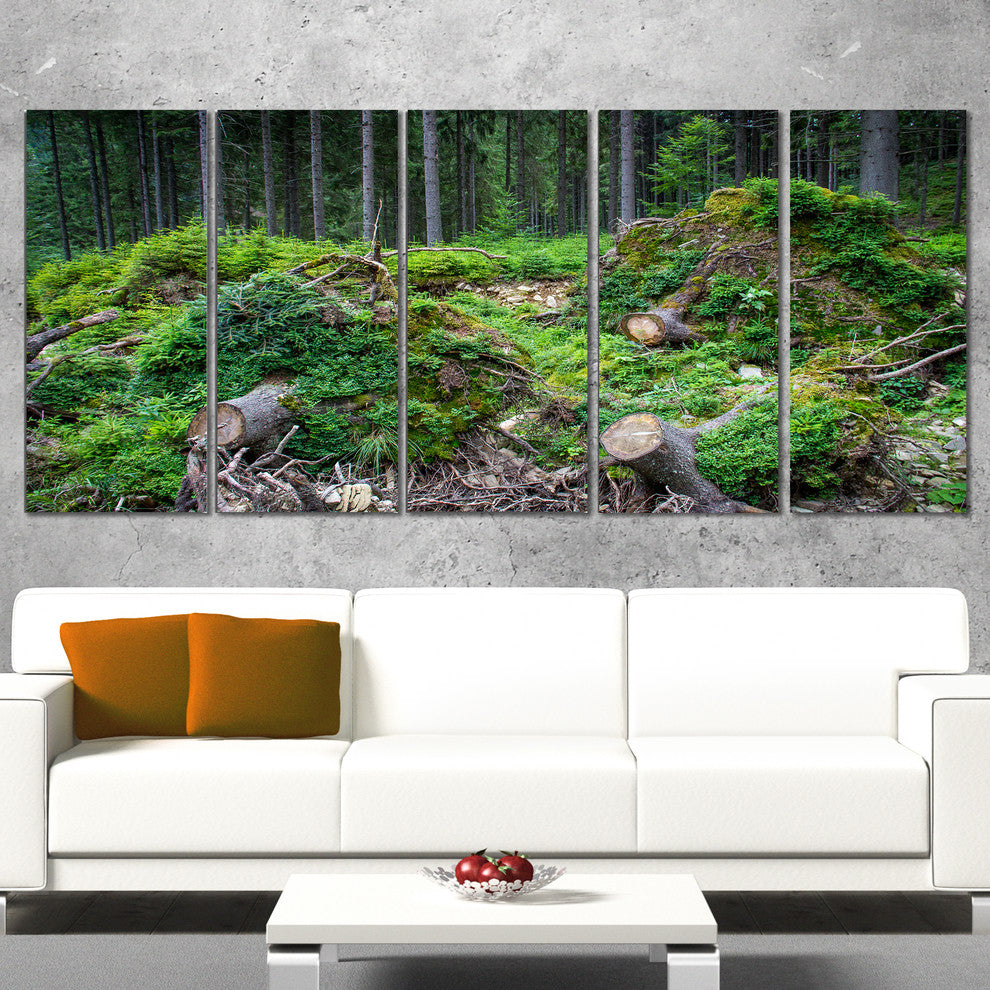 "Wild Deep Forest Rocks and Hills" Landscape Art Print Canvas, 5 Panels, 60"x28"