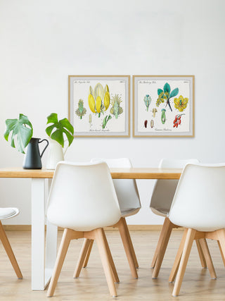 "Isn't Cute? Diptych" Framed Prints, 32"x32", 2-Piece Set