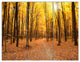 Yellow Treetops in Fall Forest, Modern Forest Canvas Art, 36x28, 3 Panels