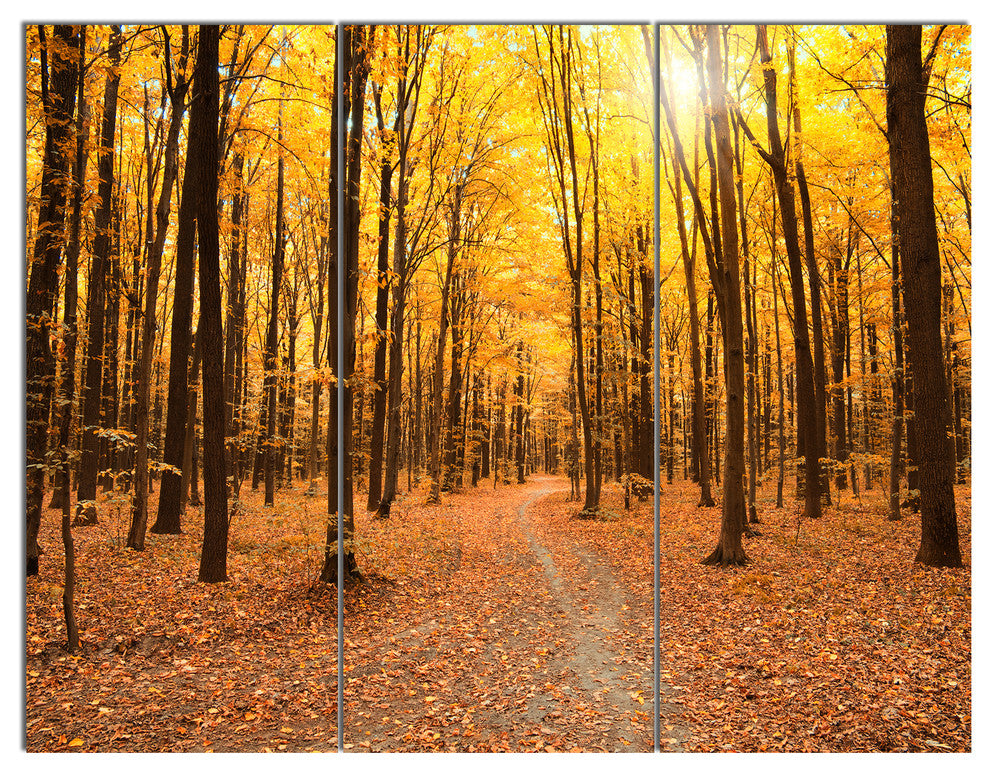 Yellow Treetops in Fall Forest, Modern Forest Canvas Art, 36x28, 3 Panels