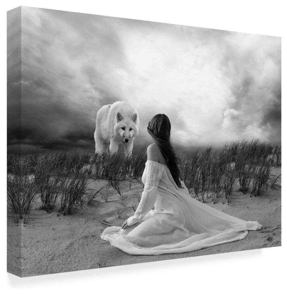 "White Wolf" by Ata Alishahi, Canvas Art, 19"x14"