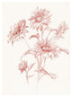 "Farm Nostalgia Flowers I" Digital Paper Print by Danhui Nai, 20"x26"
