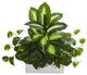 Golden Dieffenbachia and Pothos Artificial Plant