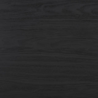 Safavieh Lylia 2 Door Coffee Table, Black/Black