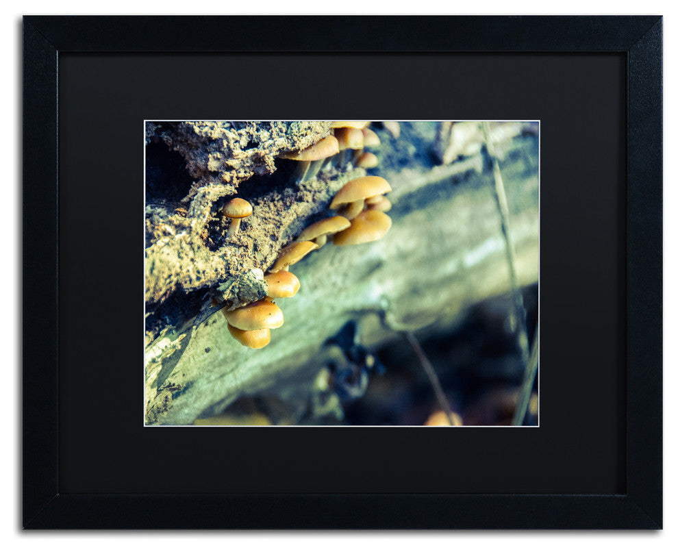 PIPA Fine Art 'Aged Mushroom' Matted Framed Art, 20x16