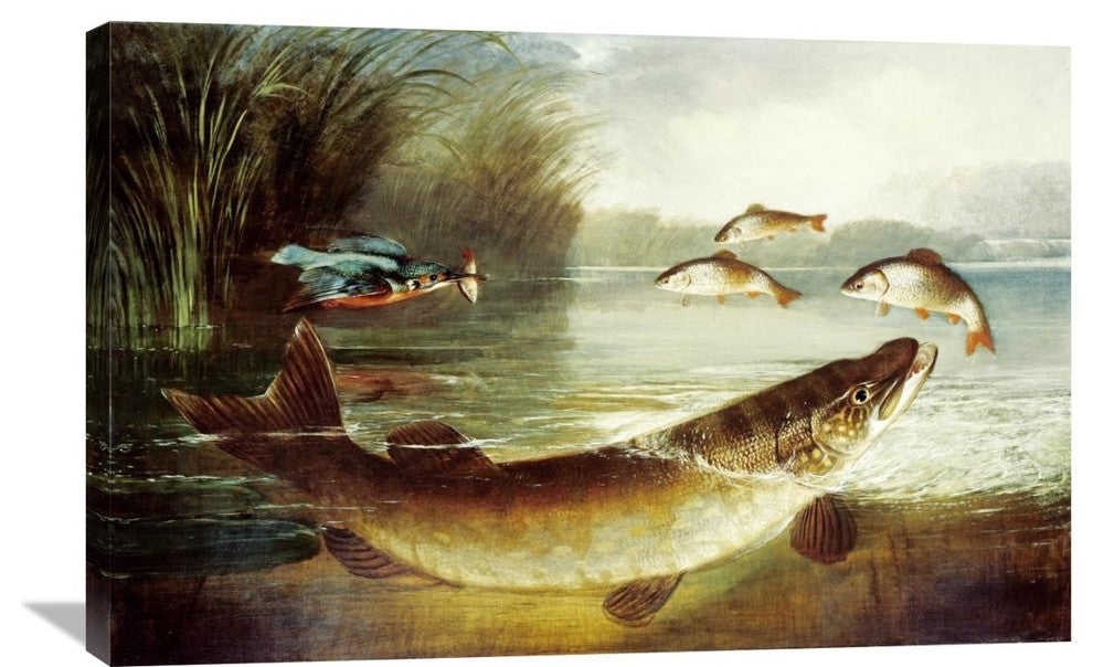 "A Kingfisher and a Pike Capturing Perch" Artwork, 36" x 23"