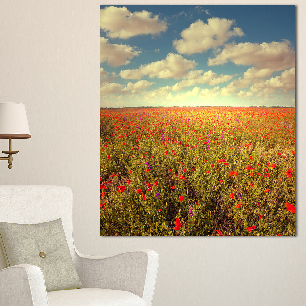 Poppy Filed under Bright Sky, Floral Canvas Art Print, 30"x40"