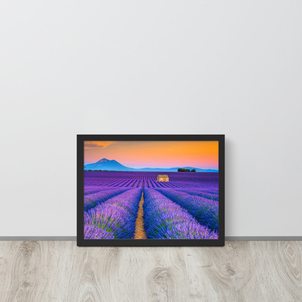Blooming Lavender Field and Sunset Floral Landscape Framed Photo Wall Art Prints, Black, 12" X 16"