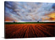 "Peace of My Mind" Wrapped Canvas Art Print, 36"x24"x1.5"