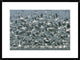 American Avocet Flock Erupting Into Flight, North America, 30"x22"