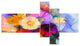 Colored Gerbera Flowers Bouquet, Floral Canvas Print, 60"x32", 5 panels