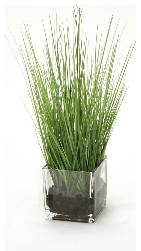 WaterlookÂ® Two Tone Green Grass in Square Glass Cube
