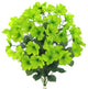 18 Stems Faux Full Blooming Wild Flower Bush, Kiwi