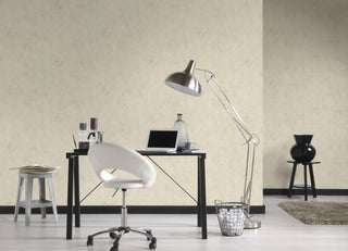Plain Textured Wallpaper Featuring Painted Wall, 374252