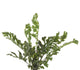 17" Fern Bush, Set of 3