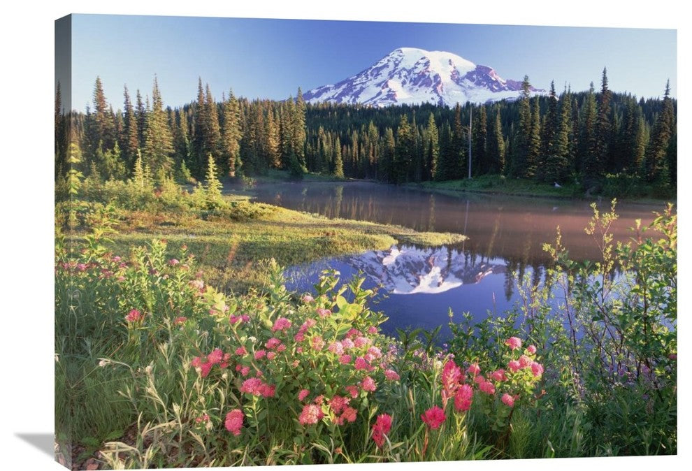 "Mt Rainier And Wildflowers, Mt Rainier National Park, Washington" Artwork