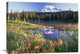 "Mt Rainier And Wildflowers, Mt Rainier National Park, Washington" Artwork