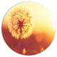 Blossom Dandelion Flower On Brown, Flower Round Metal Wall Art, 36"