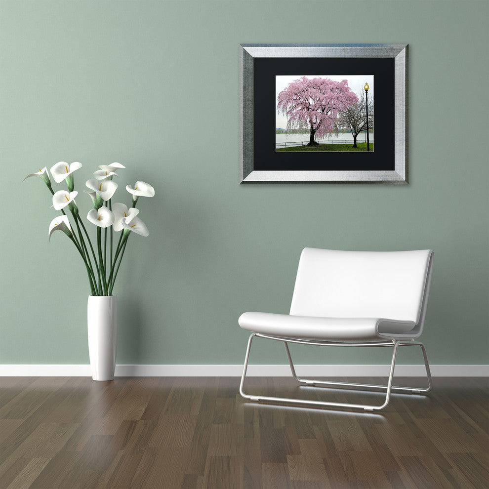 CATeyes 'Cherry Tree' Matted Framed Art, 16x20