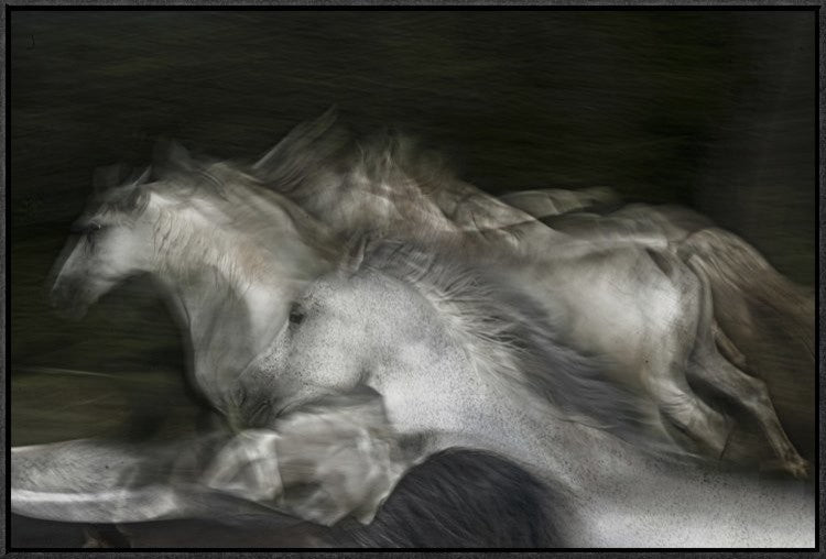 "Into The Dark" Framed Canvas Giclee by Milan Malovrh, 31x21"