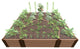 Classic Sienna Walk-In Cathedral 8'x8'x16.5" Raised Garden Bed, 1" Profile