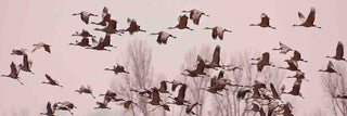 "Cranes Across the Sky" Painting Print on Canvas