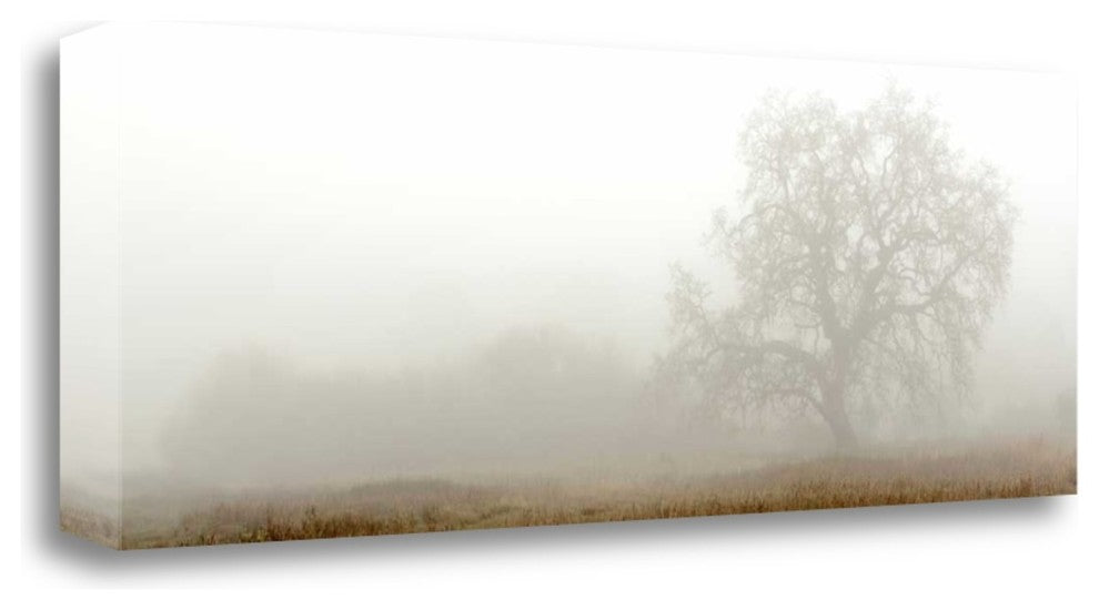 "Oak Tree - 27" By Alan Blaustein, Giclee Print on Gallery Wrap Canvas