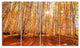Colorful Red Forest at Sunset, Modern Forest Canvas Art, 48"x28", 4 Panels