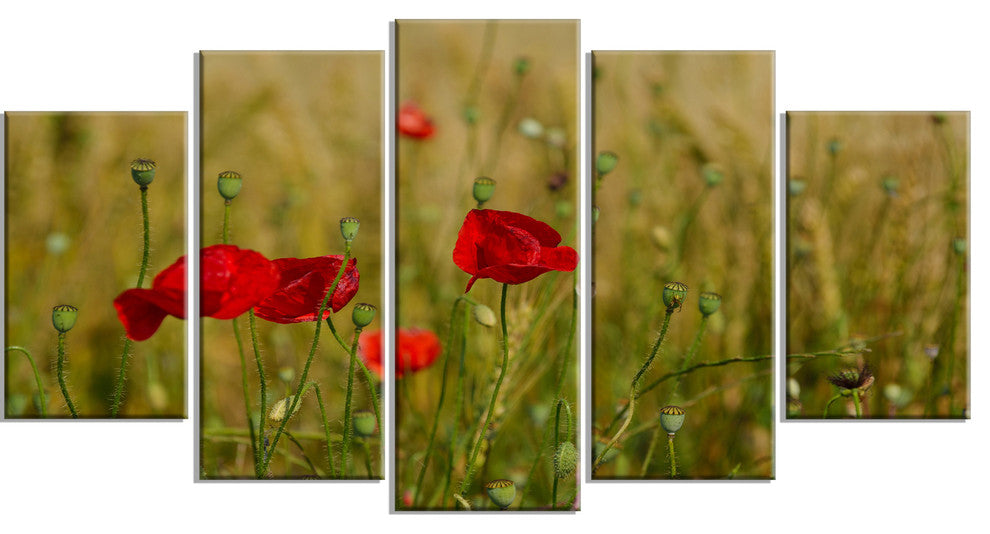 Red Poppy Flower Field Background, Flower Canvas Wall Art, 60"x32", 5 Panels