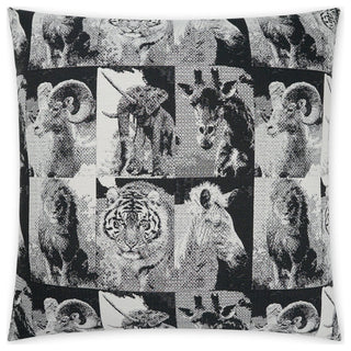 Zoology Pillow