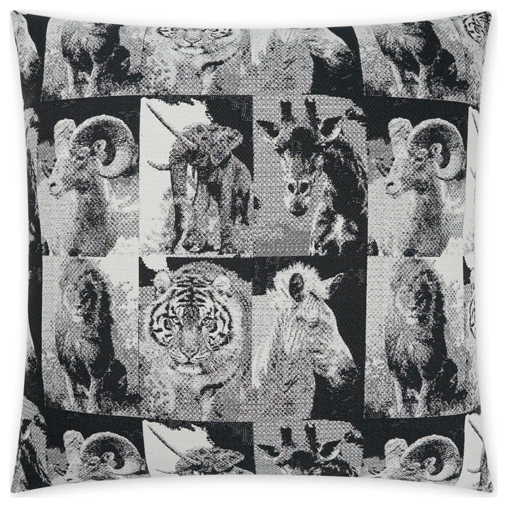 Zoology Pillow