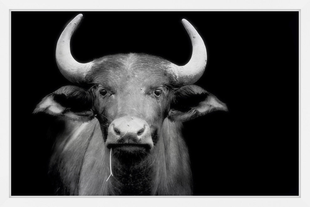 Marmont Hill, "Cow Stare" Framed Painting Print, 45x30