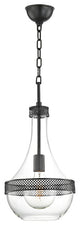 Hagen 1-Light Small Pendant, Old Bronze Finish, Clear Glass Shade