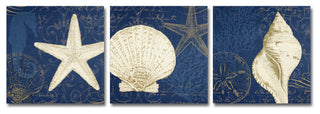 Pela Studio 'Coastal Moonlight Teal' 3 Panel Art Set
