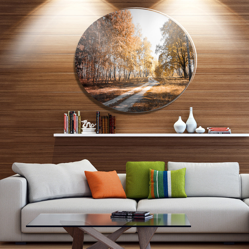 Straight Road In Fall Birch Grove, Forest Disc Metal Wall Art, 36"