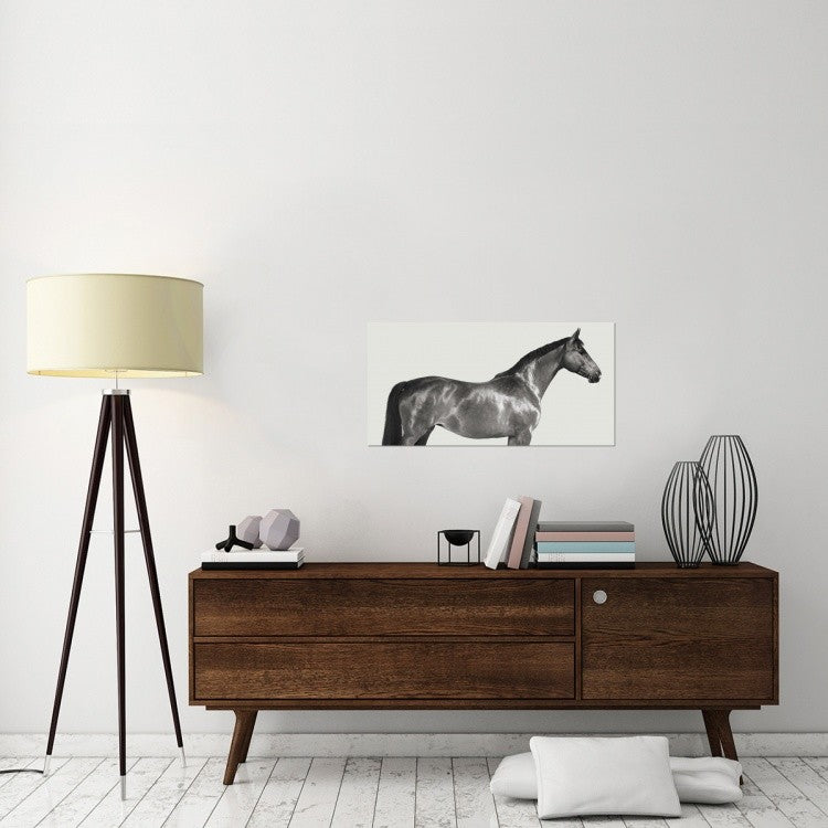 "Kingsman Cavalier, English Thoroughbred" Canvas by Pangea Images, 36x18"
