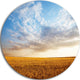 Wheat Field Under Summer Sky, Round Wall Art Landscape, 23"