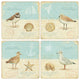 Natural Seashore Stone Coasters, Set of 8