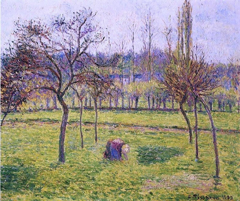 Camille Pissarro Apple Trees in a Field, 20"x25" Wall Decal Print