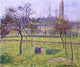 Camille Pissarro Apple Trees in a Field, 20"x25" Wall Decal Print