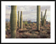 Safford Peak and Saguaro Saguaro National Park, Arizona, 38"x30"