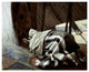 "God's Promise To Abraham" Digital Paper Print by James Tissot, 24"x20"