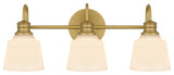 Quoizel HIN8622 Hinton 3 Light 22"W Bathroom Vanity Light - Aged Brass