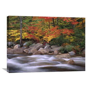 " Along Swift River, White Mountains National Forest, New Hampshire" Artwork