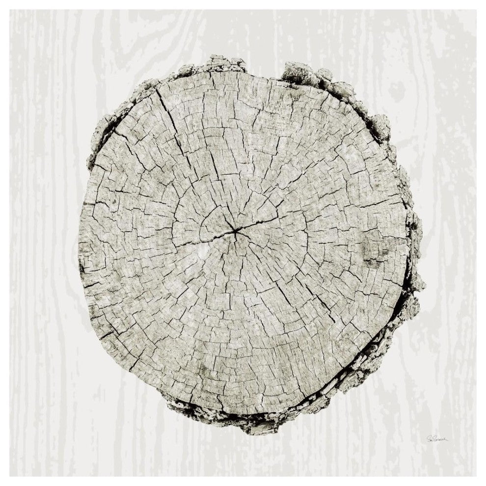"Woodland Years II" Digital Paper Print by Sue Schlabach, 32"x32"
